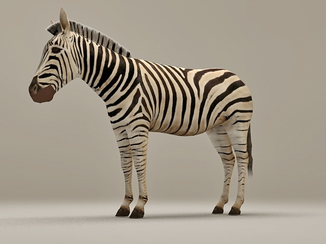 zebra designer download